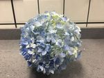 球花
