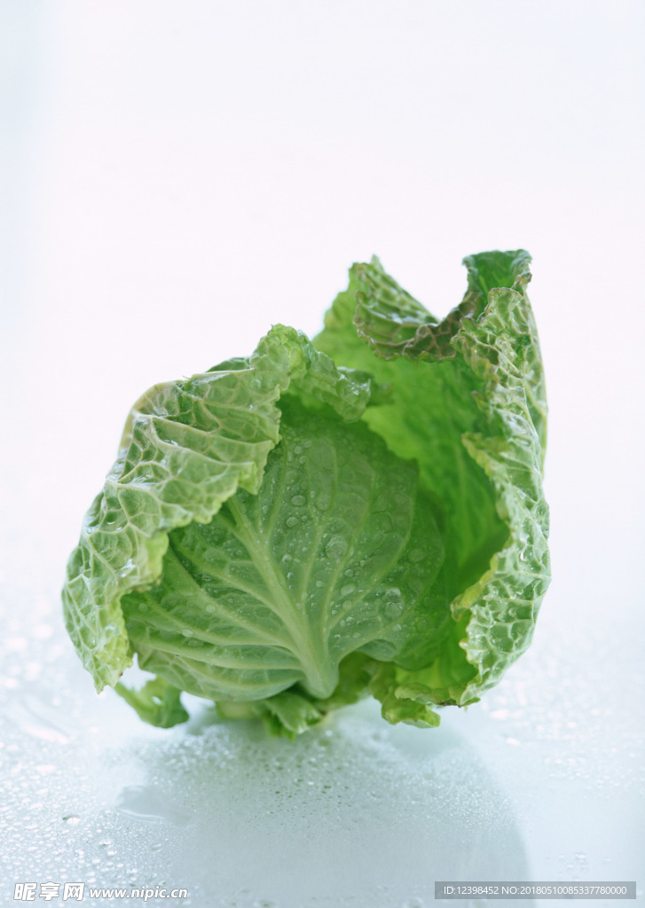 白菜