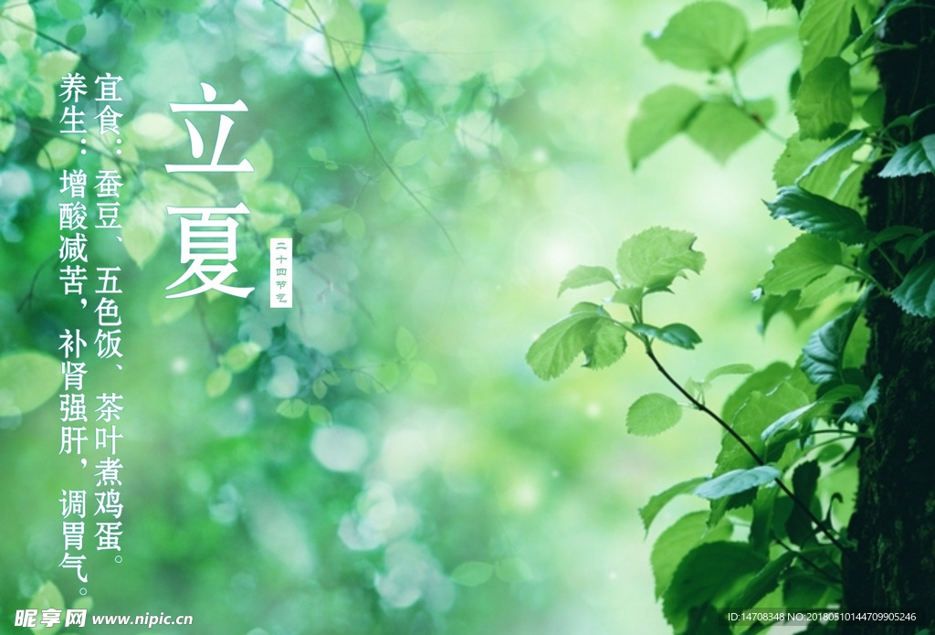 立夏