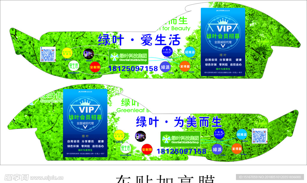 绿叶爱生活