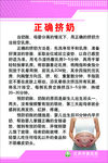 正确挤奶