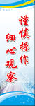 细心观察