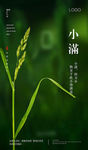 小满