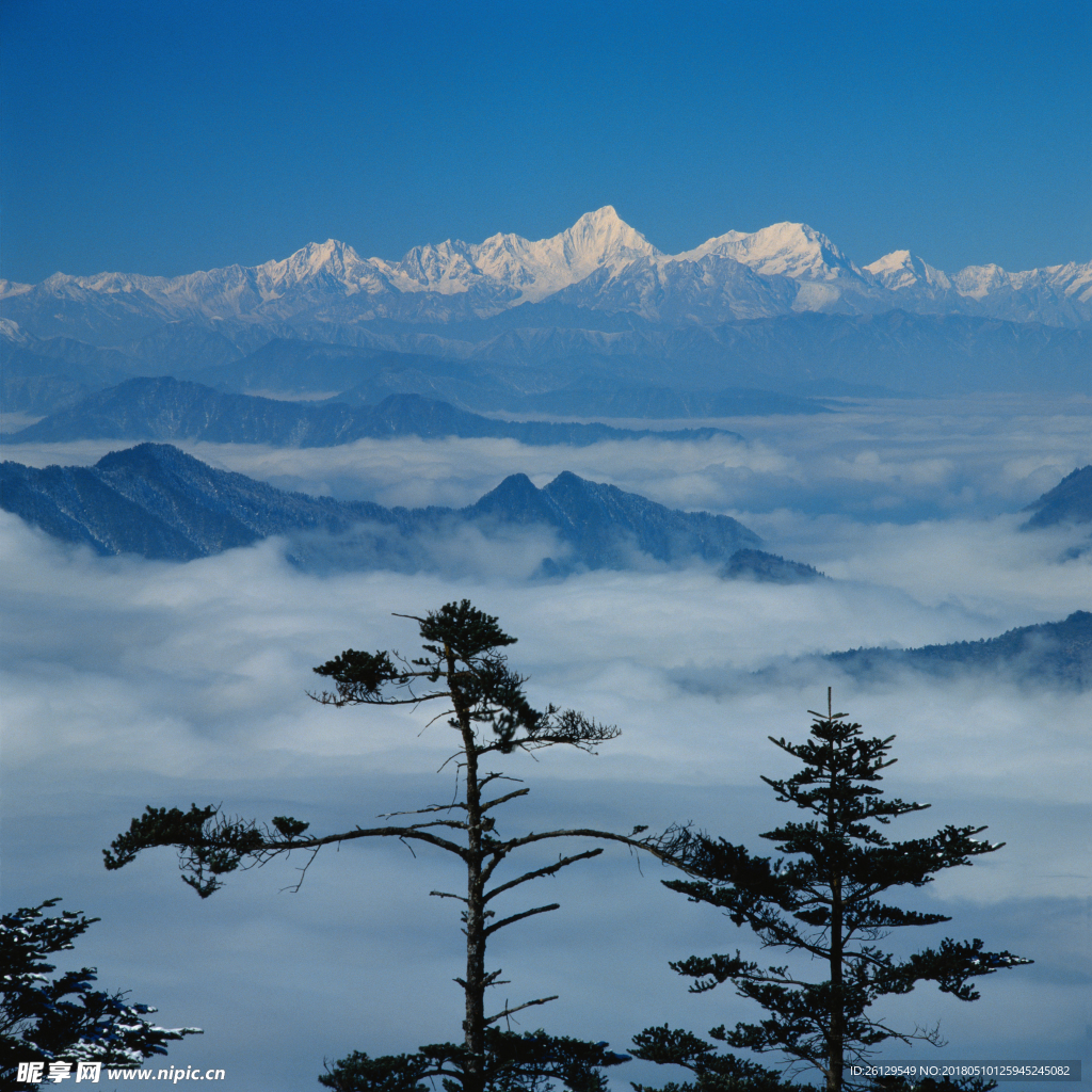 高山白云