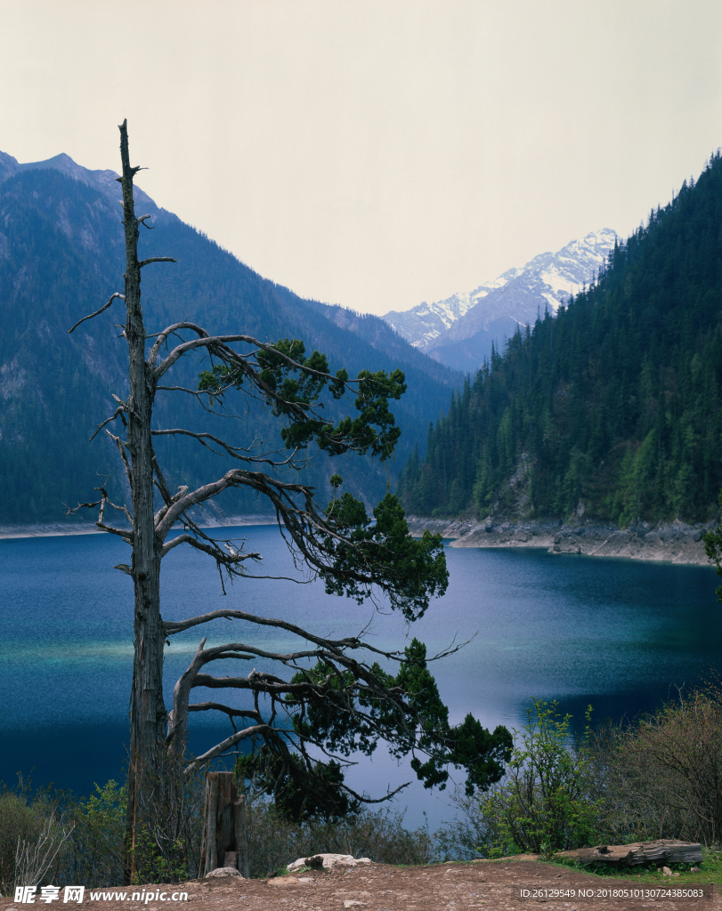 山水风景