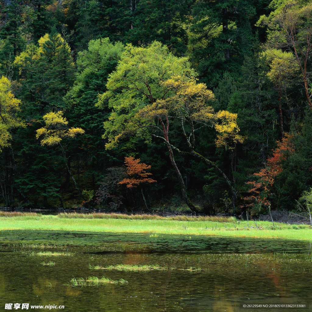 青山绿水