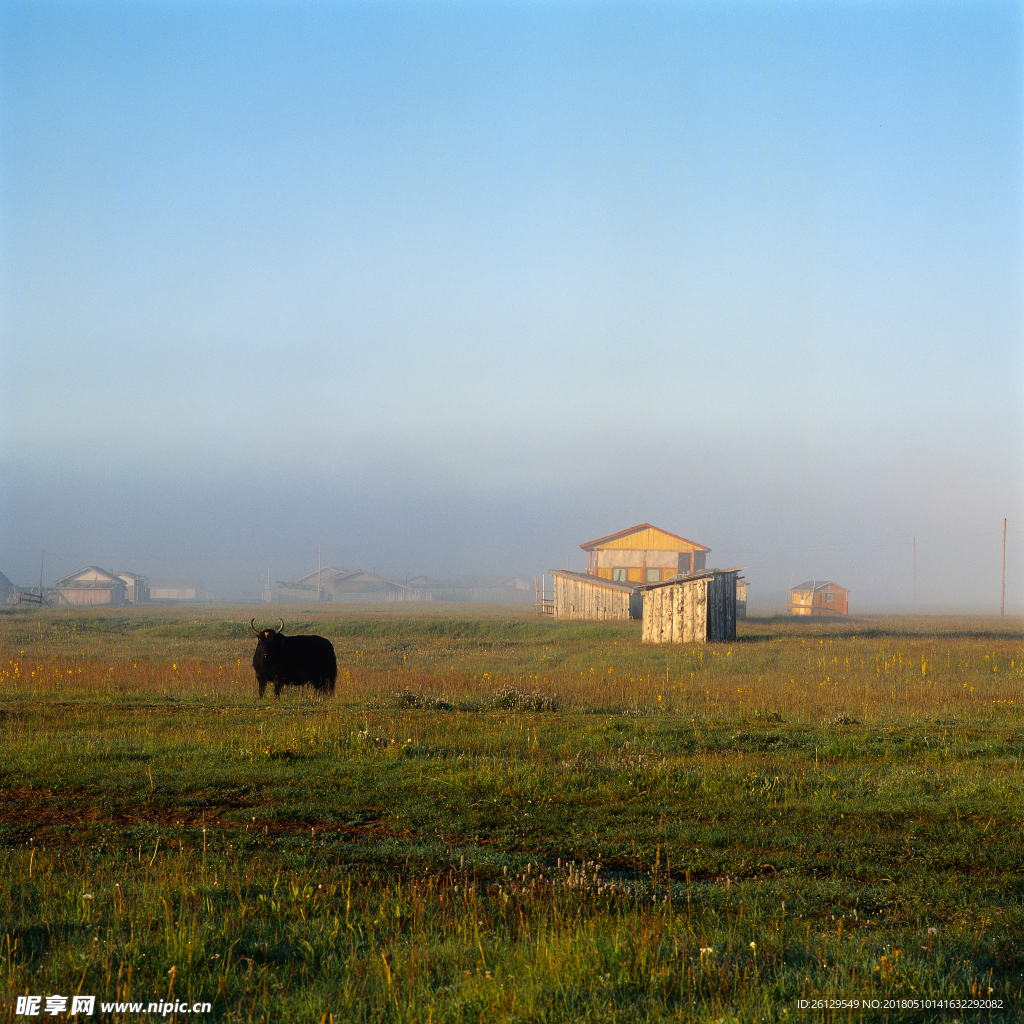 草原风景