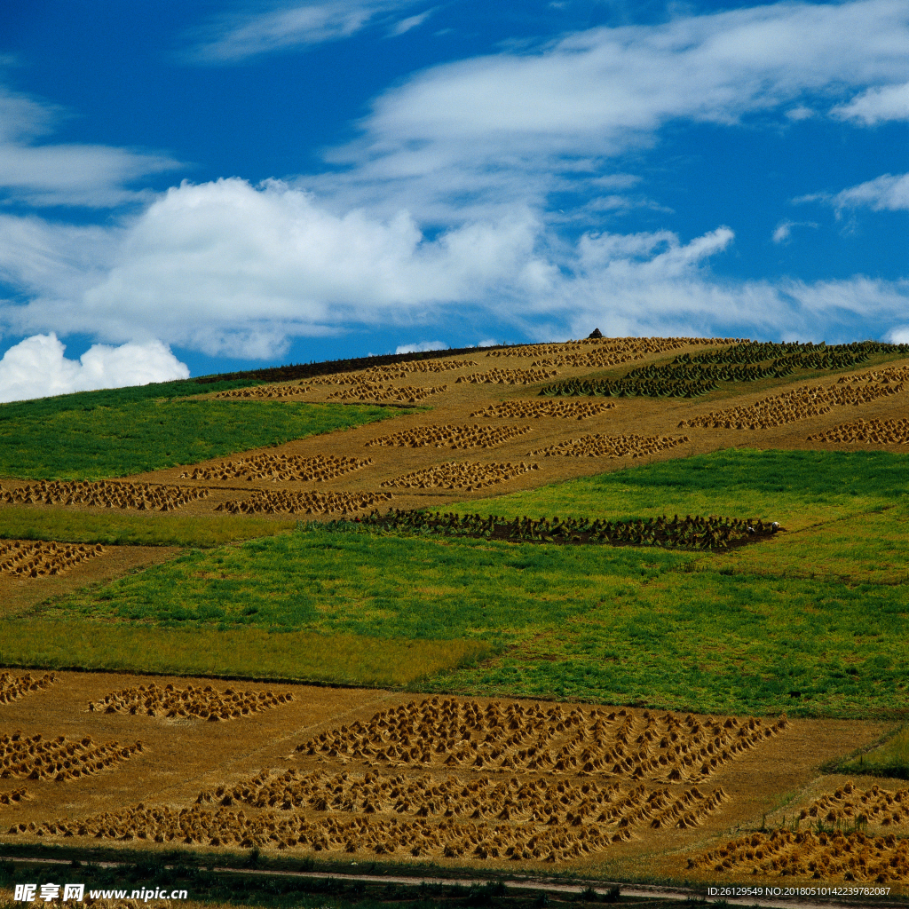 山水风景