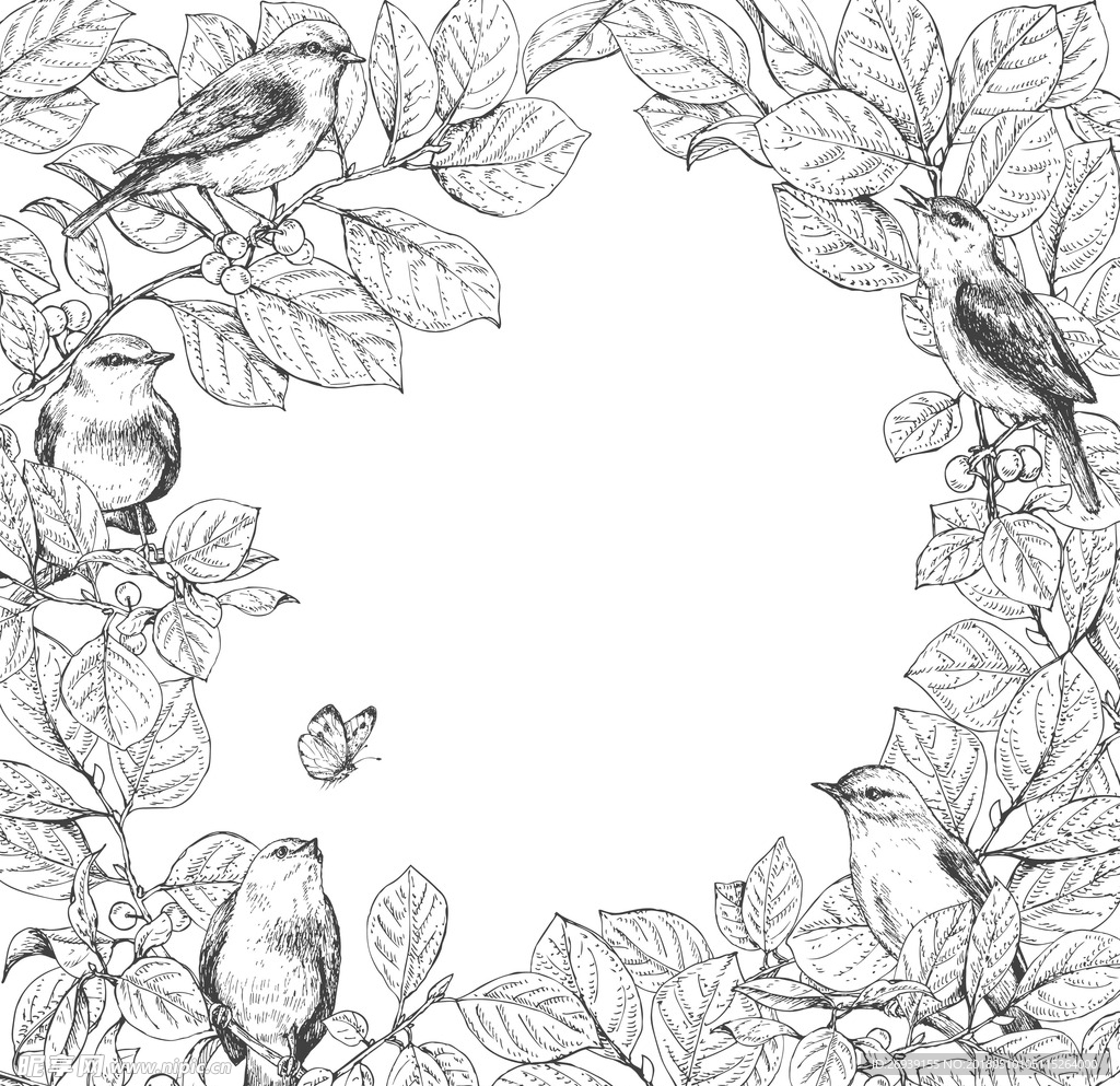 鸟 树枝花框