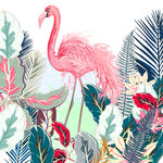 粉色鸵鸟 热带雨林