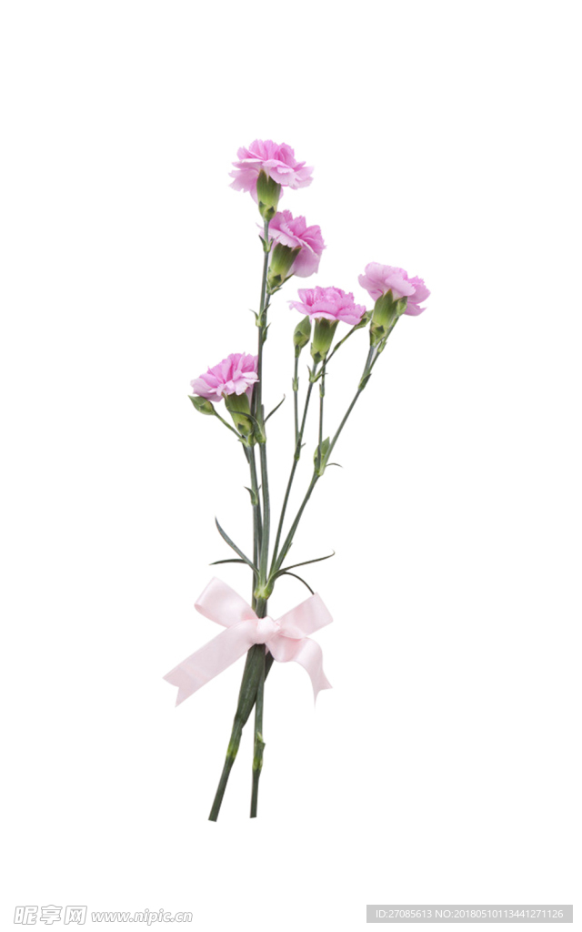 粉色康乃馨花束