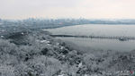 西湖雪景