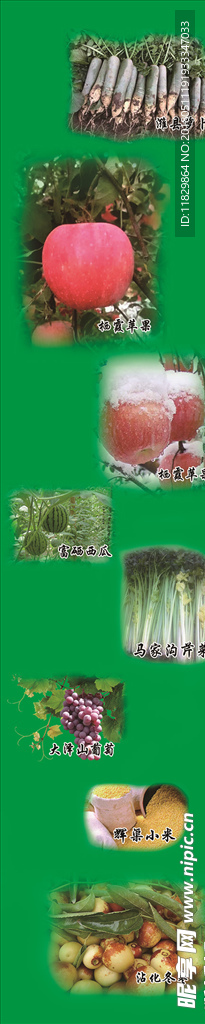 萝卜