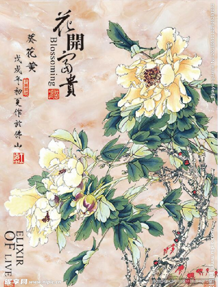 王道中 葵花黄 牡丹