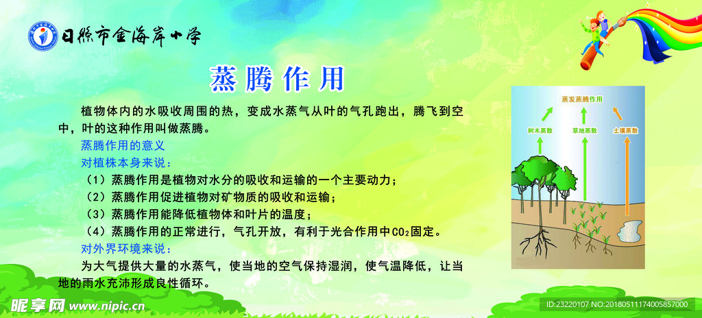 蒸腾作用  学校