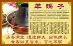 羊蝎子展板