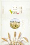 小满农历节气海报