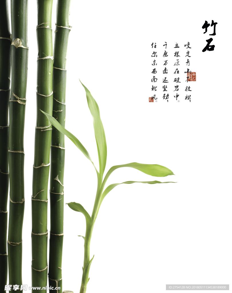 竹子 树叶 移门设计