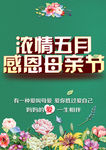 母亲节 母亲节快乐 感恩母亲