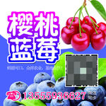 蓝莓不干胶标签