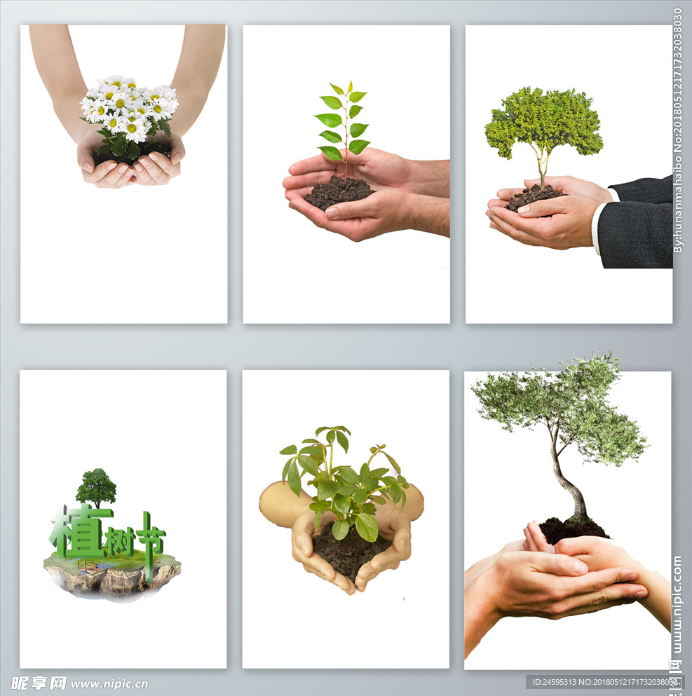 手棒绿色植物PNG免抠素材