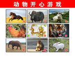 动物游戏