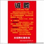 诚聘