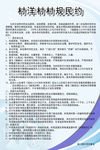 自治章程