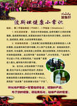 博斯坦美容美发头发护理常识