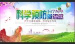 科学预防禽流感