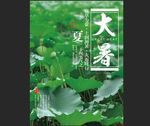 大暑荷叶