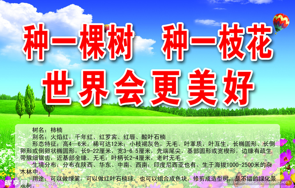柿楠