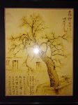 烙画老槐树