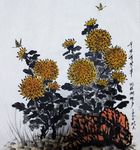 菊花