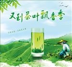 茶叶