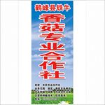 香菇专业合作社