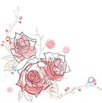 玫瑰花