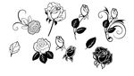 玫瑰花纹