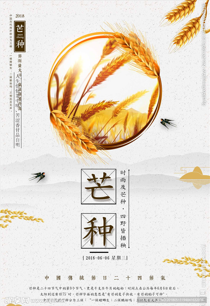 中国风二十四节气芒种传统节日创
