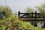 湖北松滋洈水百岛画廊南山观岛