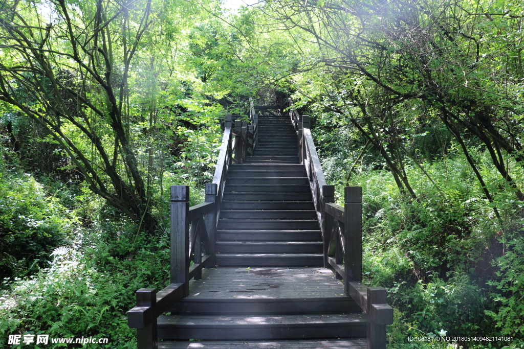 湖北松滋洈水百岛画廊南山观岛