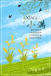 小满 二十四节气 海报 谷雨