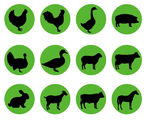 畜牧动物图标标志