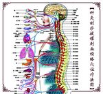 针灸刮痧拔罐刺血经络穴位疗法图