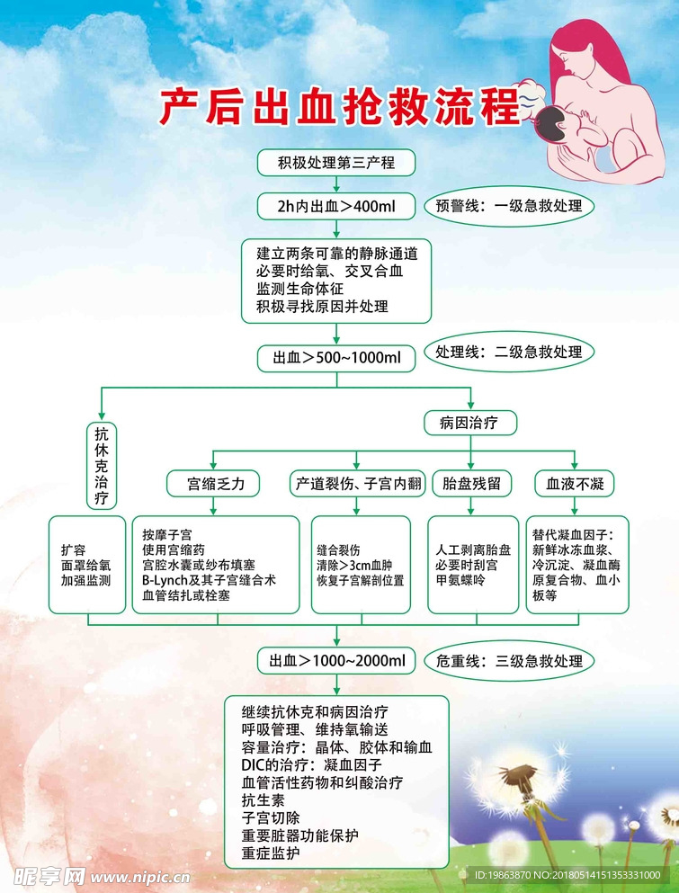 产后出血抢救流程