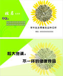 瓜子批发