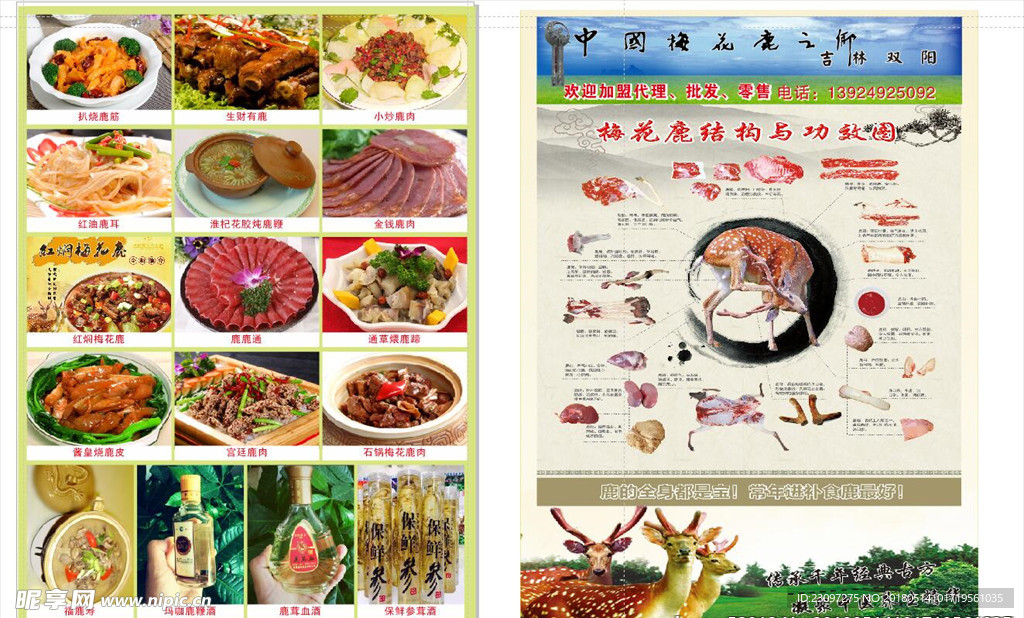 东北鹿茸传单
