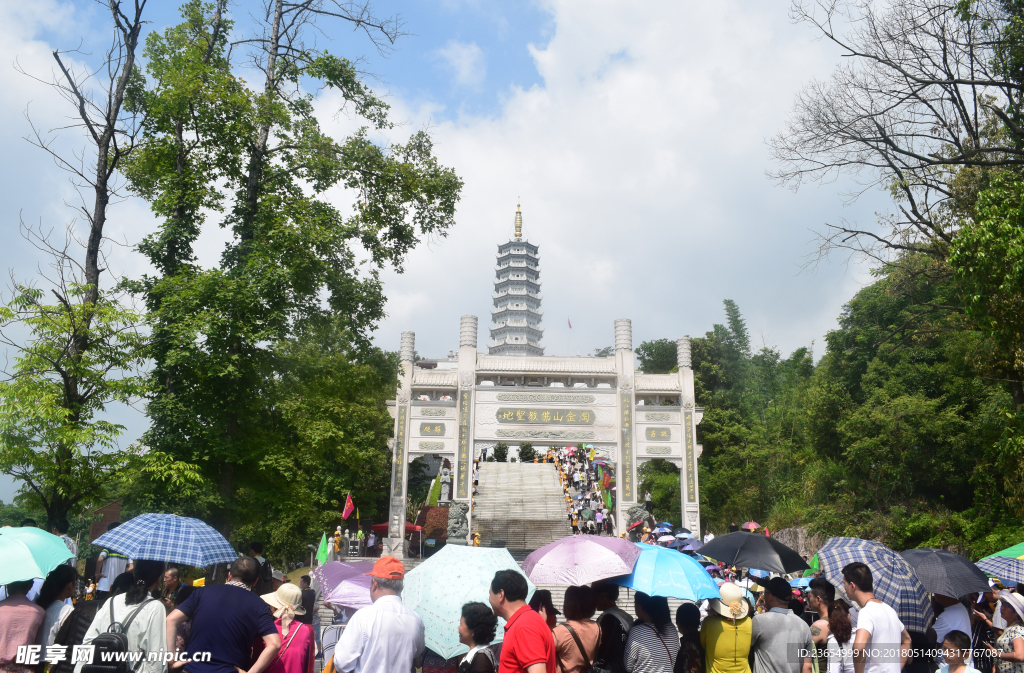 淘金山