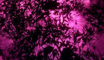 迷幻粉紫落叶天空底图