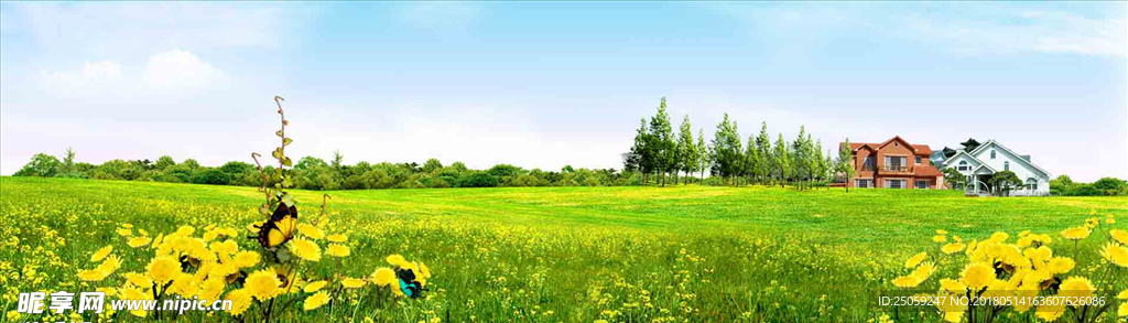 小清新背景